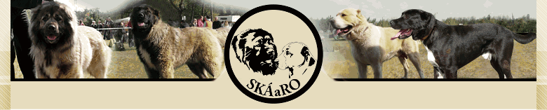 SK�aRO / Na �vod