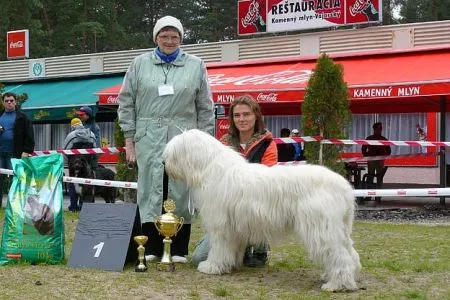 Anuschka/stred. víťaz, BOB,BIS