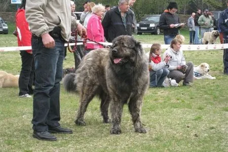 Atlant/R.CAC, tr.otvor.