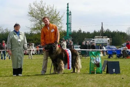 Hanibal/stredoeurop. víťaz, BOB