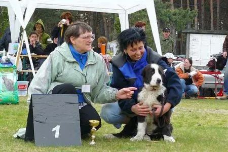 Bandith/VN1, najkraj. š.-pes