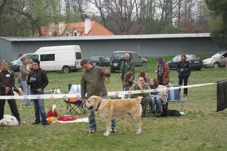 Ejbar/VD3, tr.stred.