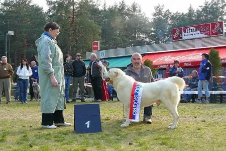 Olimp/stredoeuro. víťaz