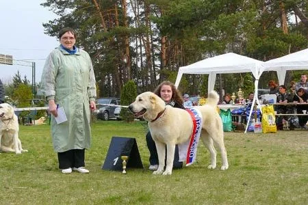 Erkana/CAJC, stredoeu. víťaz, BOB