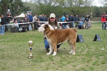 Fina/V1, naj.veterán