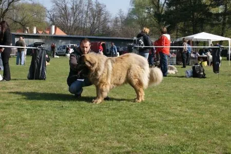 4.	LUCIFER Šejtanova smečka