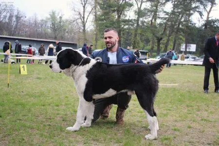 46. NIRAD Gjulčitaj Tuhaj Bej
