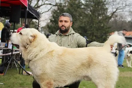 71. Kasim Gjulčitaj Tuhaj Bej