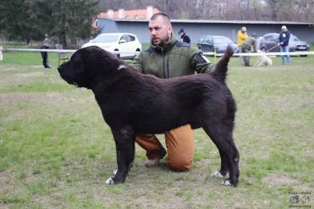 75. ILKINJI iz Klovi