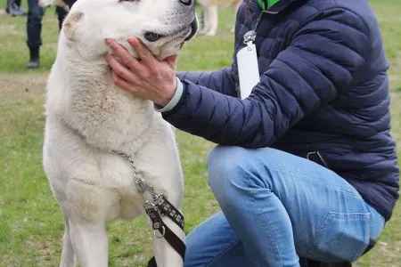 98. ENIŠ iz Ruskog Izvora