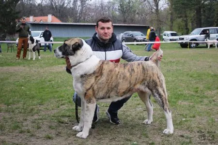 148. YVANKA Regun-Guard