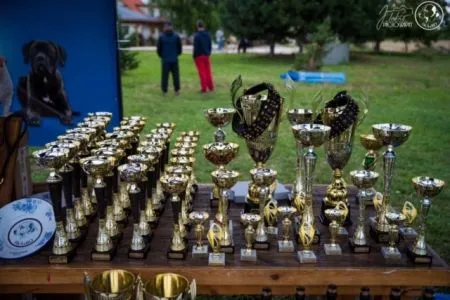 24. klubová výstava SKÁaRO, Radava, 7.9.2019
