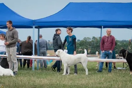 18. Luchik Podstránie a 19. Oroshon Gjulčitaj Tuhaj Bej