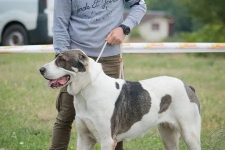 148. Arrysta Adal-Asgul