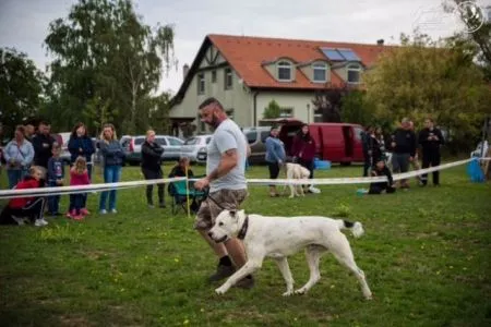 32. Destan Goreshmek