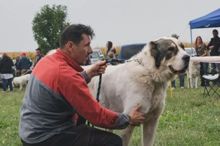 138. Cyra Bukovina Tatry
