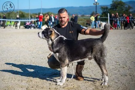 9-ERON-CAOIT