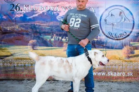 112-BAJKA-DRA-SAJ-ASSAD-