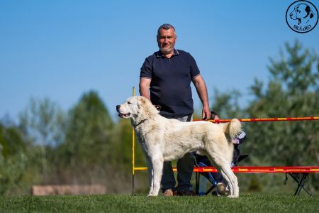 16,. Pes	Mladých	RENESMEE TENERIS IRKHAN	V2