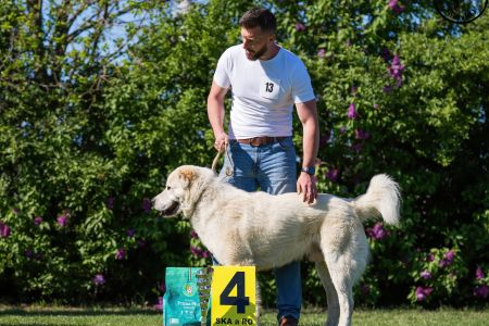 13. 	Pes	Mladých	BARBÁR TIKOSISTAN	V4