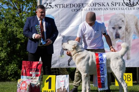 11. 	Pes	Mladých	ASHKABATCHINGIZ	Stredoeurópsky Víťaz