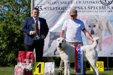 11. 	Pes	Mladých	ASHKABATCHINGIZ	Stredoeurópsky Víťaz
