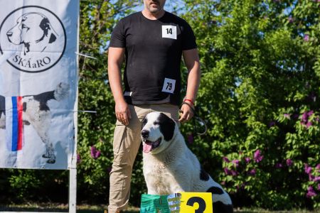 14. Pes	Mladých	GHADIR CAO IT	V3