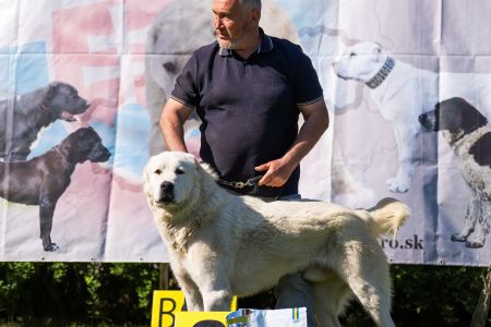 16. Pes	Mladých	RENESMEE TENERIS IRKHAN	V2