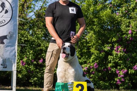 14. Pes	Mladých	GHADIR CAO IT	V3