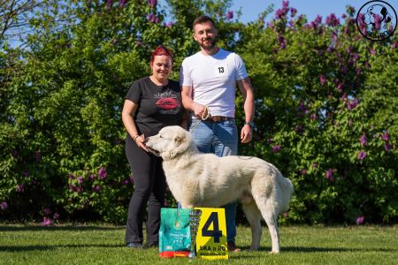 13. 	Pes	Mladých	BARBÁR TIKOSISTAN	V4