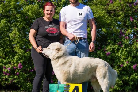 13. 	Pes	Mladých	BARBÁR TIKOSISTAN	V4