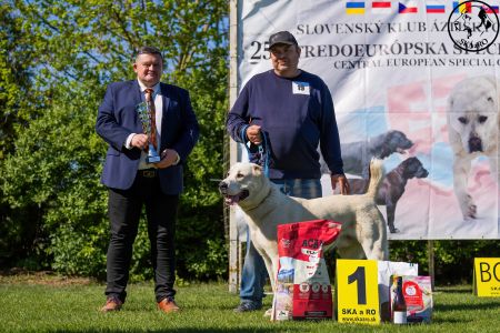 19. 	Pes	Stredná	MEKIR ERK ESHRET	V1, CAC