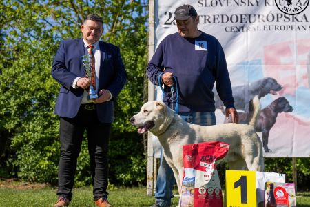 19. 	Pes	Stredná	MEKIR ERK ESHRET	V1, CAC