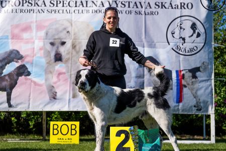 22. Pes	Stredná	RENESMEE TENERIS JAVAN	V2, Res.CAC