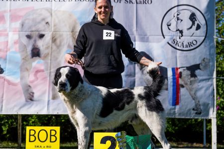 22. Pes	Stredná	RENESMEE TENERIS JAVAN	V2, Res.CAC