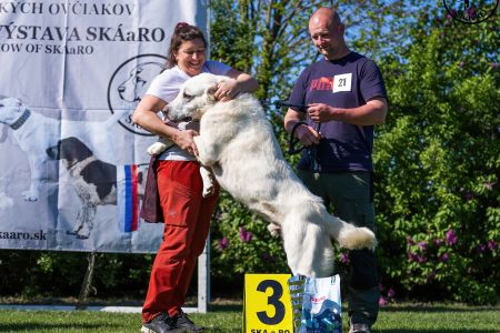 21. Pes	Stredná	RASHAN CHACALKIZ CHENEKEL	VD3
