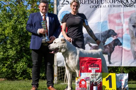 24. 	Pes	Otvorená	GAZIZ CHORASAN	V1, CAC