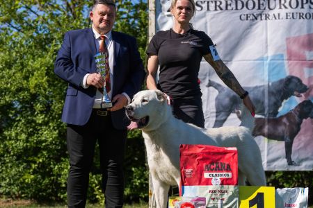 24. 	Pes	Otvorená	GAZIZ CHORASAN	V1, CAC