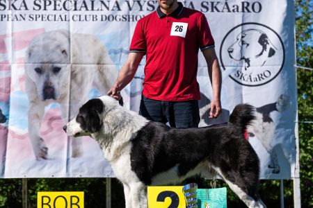 26. 	Pes	Otvorená	LOKI-BURI-AL-BASAR	V2, Res.CAC