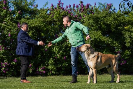 23.  	Pes	Otvorená	FARAON BALI-BEJ	V4