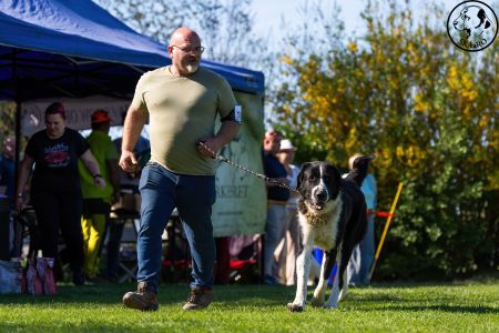 32. 	Pes	Šampiónov	F’ GÜÝGLI VON LIFE BALL	V3