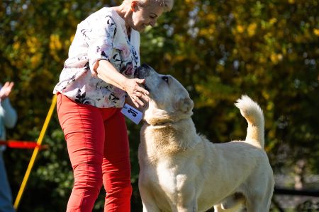 Pes	Šampiónov	ASAN OD TATIER K DUNAJU	Stredoeurópsky Víťaz, V1, CAC, BOS