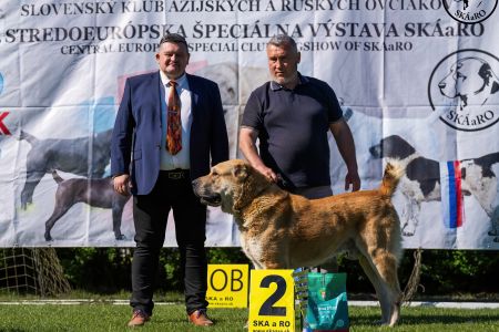 33. Pes	Šampiónov	RENESMEE TENERIS AMAR	V2, Res.CAC