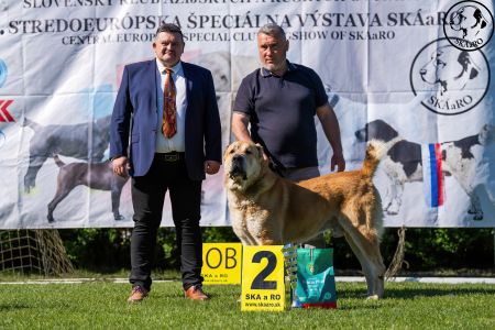 33. Pes	Šampiónov	RENESMEE TENERIS AMAR	V2, Res.CAC