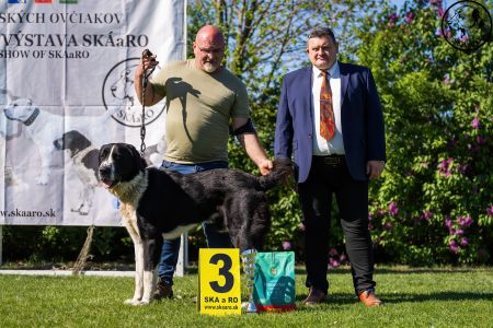 32. 	Pes	Šampiónov	F’ GÜÝGLI VON LIFE BALL	V3