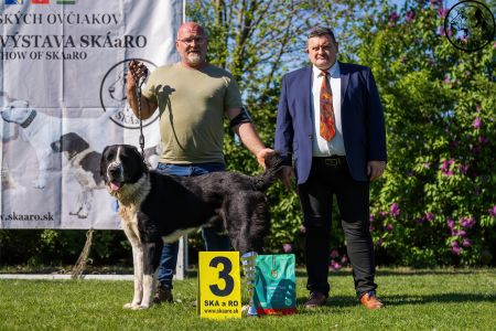 32. 	Pes	Šampiónov	F’ GÜÝGLI VON LIFE BALL	V3