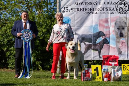 Pes	Šampiónov	ASAN OD TATIER K DUNAJU	Stredoeurópsky Víťaz, V1, CAC, BOS