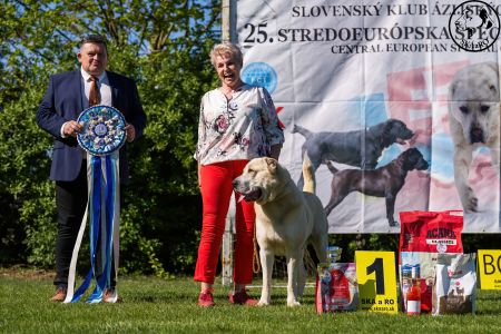 Pes	Šampiónov	ASAN OD TATIER K DUNAJU	Stredoeurópsky Víťaz, V1, CAC, BOS