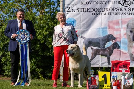 Pes	Šampiónov	ASAN OD TATIER K DUNAJU	Stredoeurópsky Víťaz, V1, CAC, BOS