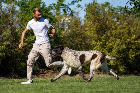 51. 	Suka	Mladých	LEDA FROM IMPERIAL ROADS	V4